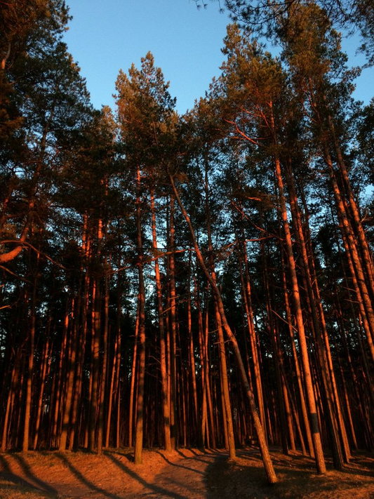 Strange and Surreal Stories from My First Clients in Estonia