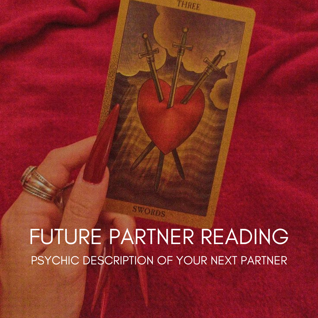 Description of your Next Partner Love Reading