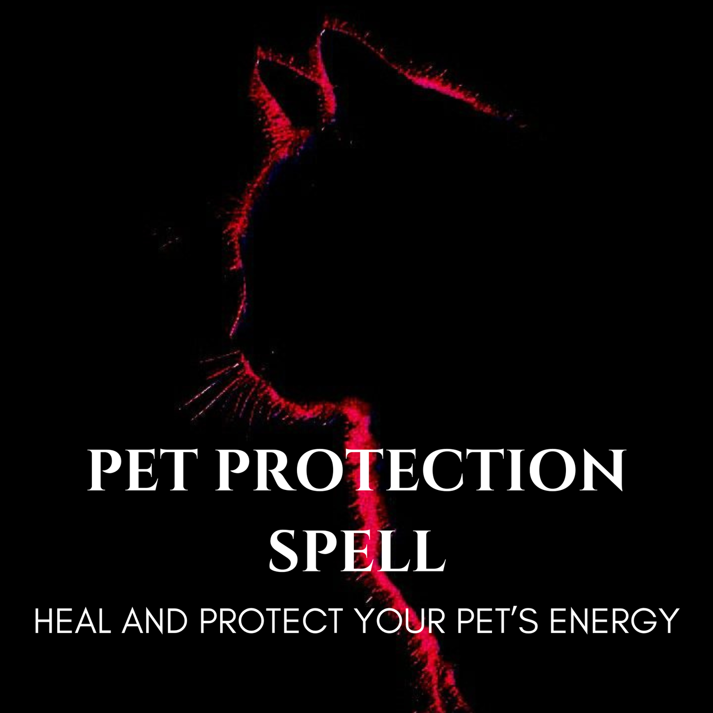 Pet Protection Spell